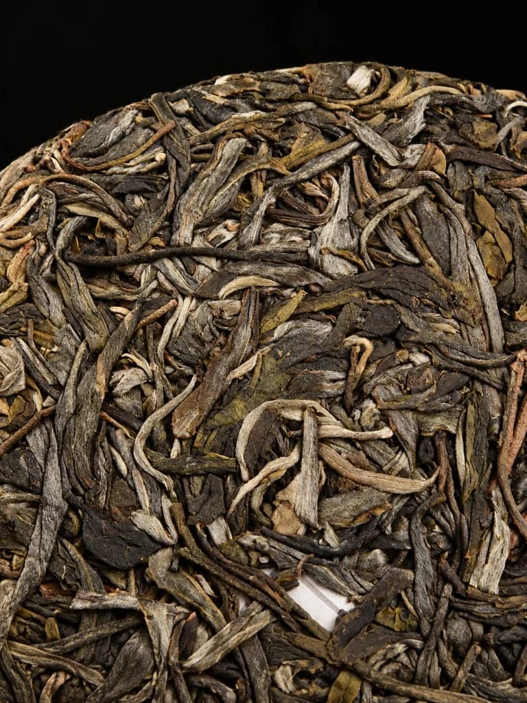 Compressed vintage 2019 Bai Mudan white tea cake with silvery down buds and whole leaves